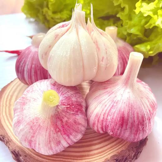 河南紫皮多瓣蒜（新鲜大蒜）3斤/4.5斤 商品图0