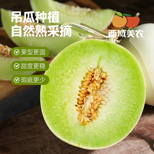 山东玉菇甜瓜   冷藏一下软糯丝滑 冰淇淋口感 多汁蜜甜 清爽不腻 新鲜当季 商品图1