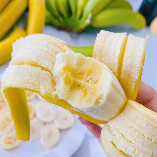 云南西双版纳威廉斯香蕉|山人优选，精品1级，珍珠棉抽真空 商品图0