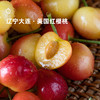 5天内发 企鹅市集|大连 美国红 黄樱桃2斤装 金黄透红 硬脆饱满 新鲜采摘 商品缩略图2