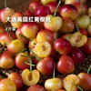 5天内发 企鹅市集|大连 美国红 黄樱桃2斤装 金黄透红 硬脆饱满 新鲜采摘 商品缩略图0