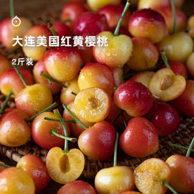 5天内发 企鹅市集|大连 美国红 黄樱桃2斤装 金黄透红 硬脆饱满 新鲜采摘