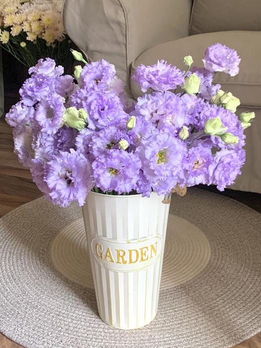 【四月宜养花】火烈鸟马蹄莲5支+香槟色洋桔梗7-10朵+紫色系洋桔梗或粉色系7-10朵+送小绣球1支/份（绣球容易脱水送的不售后） 商品图4