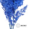 永生花材 | 蓬莱松湖蓝色 商品缩略图2