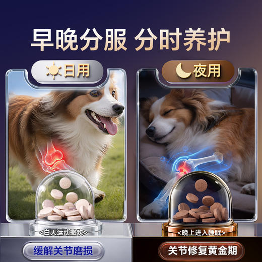 MAG 菲速1+1 UC-II骨胶原软骨素小分子 狗狗猫咪软骨素有助保护关节 商品图6