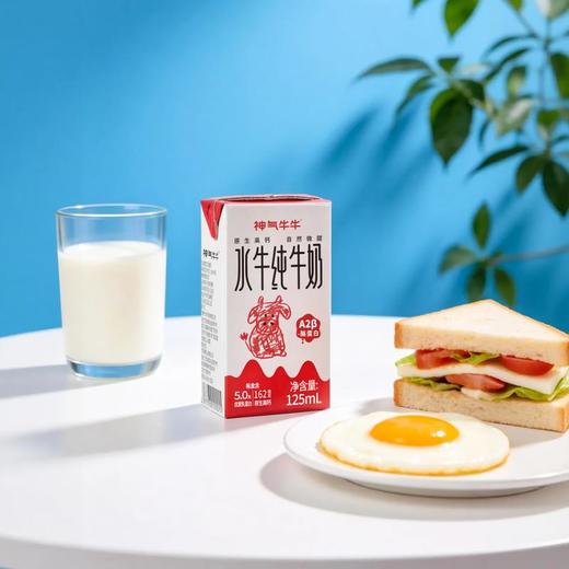 神气水牛广西水牛纯牛奶 125ml*9盒*3箱 商品图2