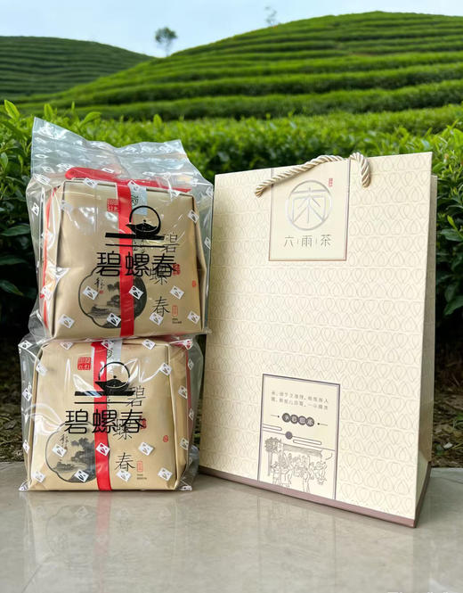 【六雨严选】2026年新茶碧螺春上市！宜兴碧螺春工艺超级福利！抢到尝鲜！！ 商品图1
