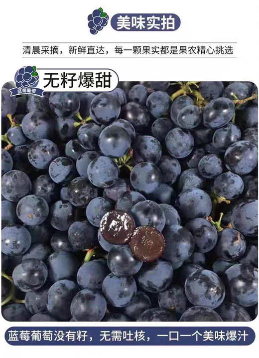 现货 蓝莓葡萄2斤装 商品图6