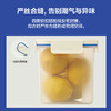 乐扣乐扣（LOCK&LOCK）新款塑料保鲜盒系列 HPL 商品缩略图1