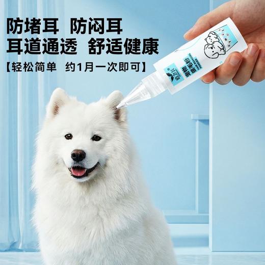 道力其 宠物拔毛粉42g 耳道清洁护理无痛 除耳螨 厂家直供 商品图3