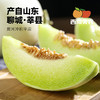 山东玉菇甜瓜   冷藏一下软糯丝滑 冰淇淋口感 多汁蜜甜 清爽不腻 新鲜当季 商品缩略图3