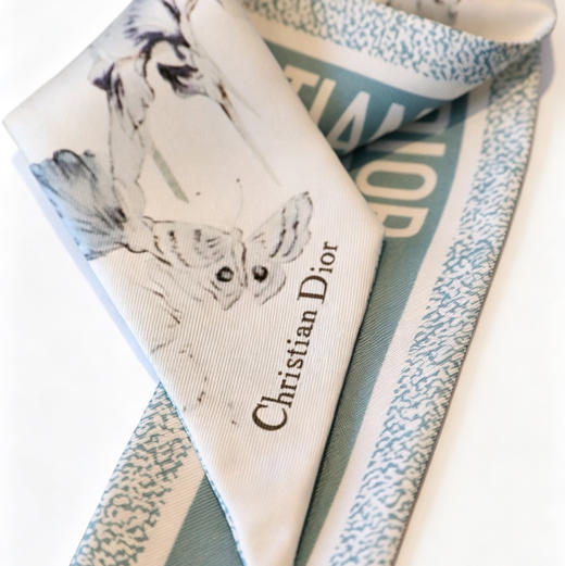 ChristianDior短款丝巾  橘红色。绿色。淡绿色。自己备注颜色 商品图7