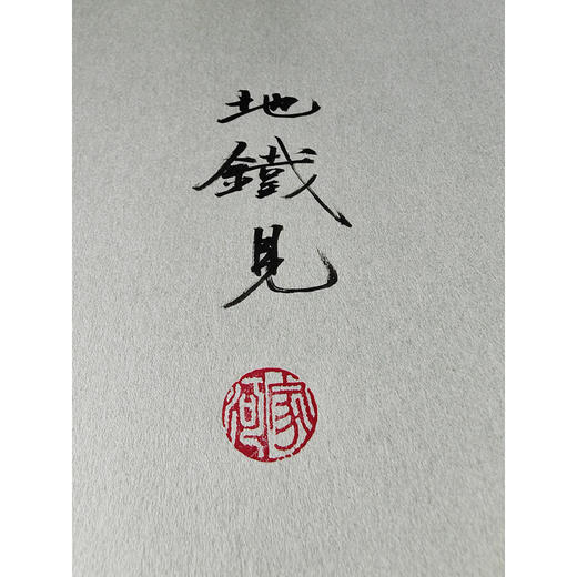 在地下奔跑 洞穿钢筋水泥的表象 触摸城市生活的温度 让我们共同成为城市的奔跑者 历史的在场者 时代的记录者 商品图3