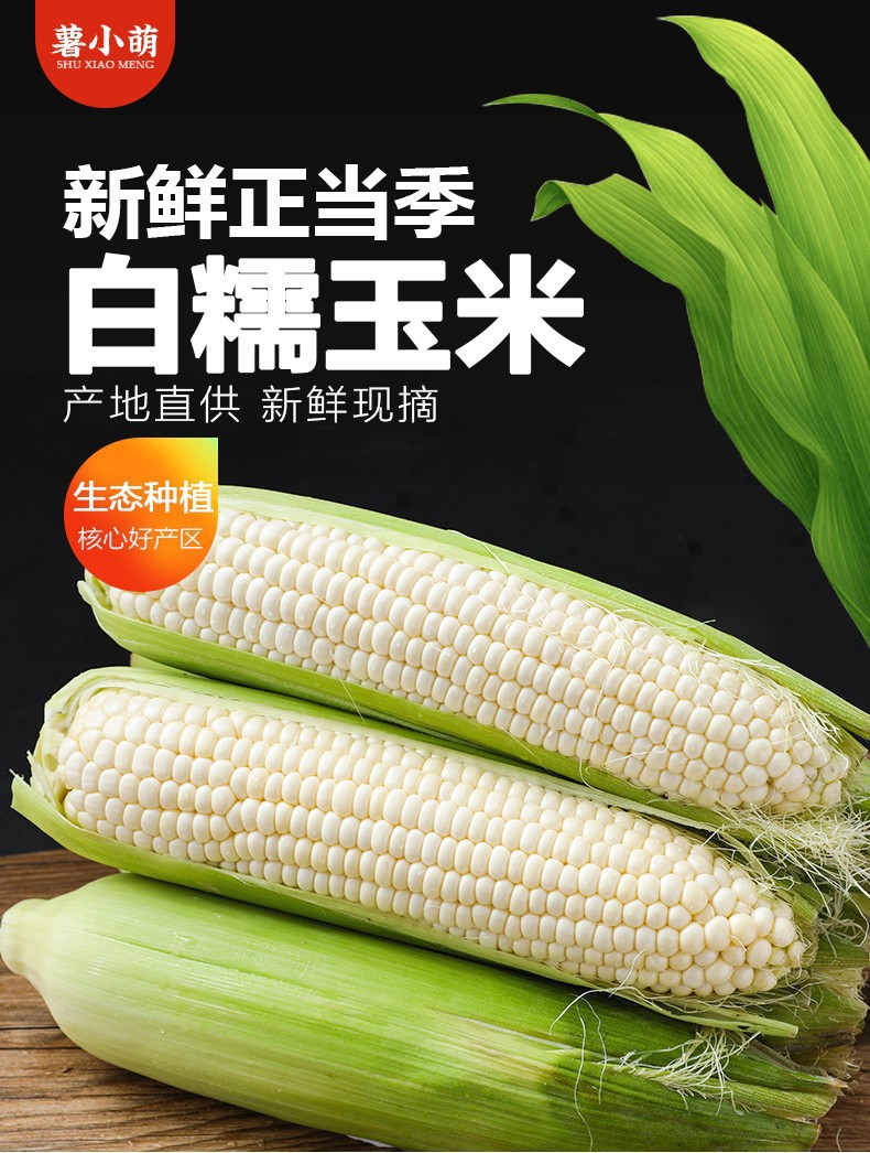 gWyWj/+nzNTvS8WG2Vtagz69b7x9oGwRqTNF