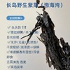 长岛野生头水紫菜（特级）去不了长岛没关系 咱把这份鲜美从岛上带到你餐桌 一起品尝这地地道道的长岛紫菜吧 商品缩略图1