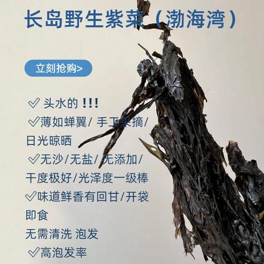 长岛野生头水紫菜（特级）去不了长岛没关系 咱把这份鲜美从岛上带到你餐桌 一起品尝这地地道道的长岛紫菜吧 商品图1