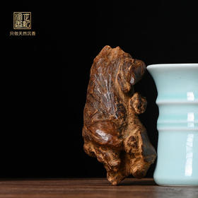 天然芽庄红土沉香原料 沉水级 SP11581