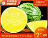 特小凤黄肉西瓜/1个（3-3.5kg） 商品缩略图0