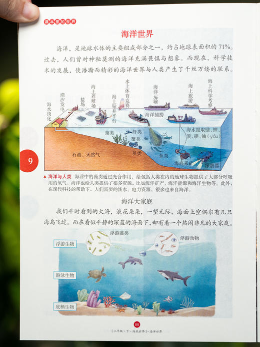 《小学生绘本课堂》（1学期2册：《年级阅读》+《素材书》）爆火7年，大语文教辅顶流“天花板”，和统编教材1:1完全同步，拓展阅读+百科知识+写作技法+范文讲解，一套书扫清小学语文学习“障碍“” 商品图7