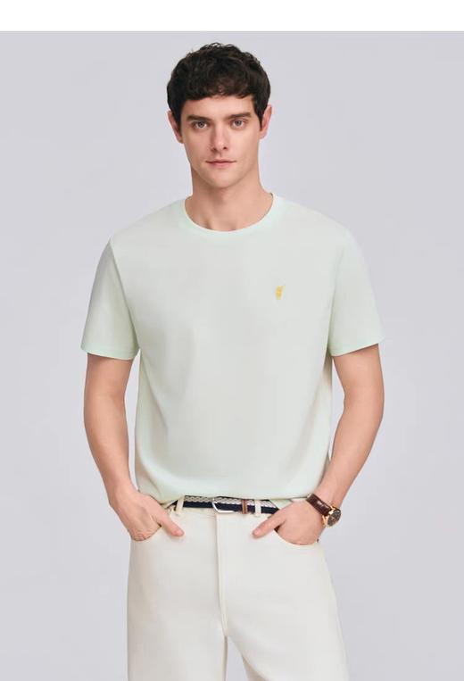 MJ|POLOWALK短袖体恤62280473 商品图1