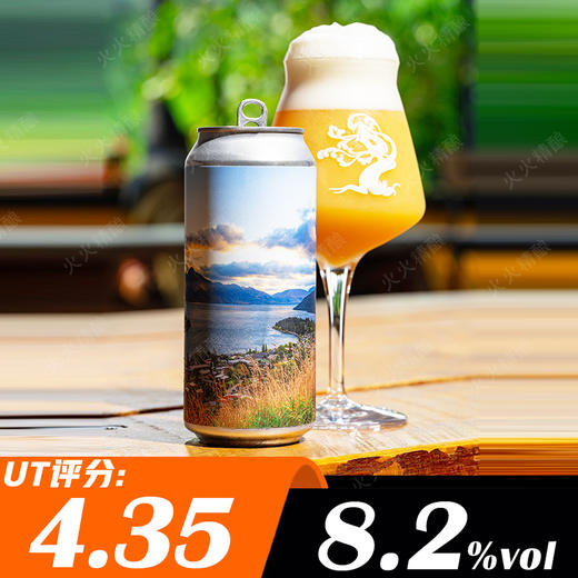 树屋 尼尔森所有方式加斯顿酒花 473ml 商品图0