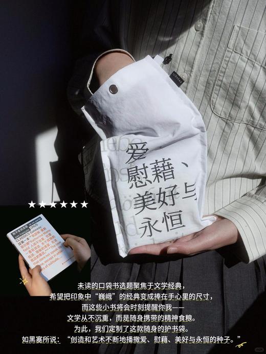【限量限定】未读首款·口袋书盲盒（精选随机口袋书5本+限定哲思护书袋1个+随机周边掉落），你的随身精神栖息地。 商品图3