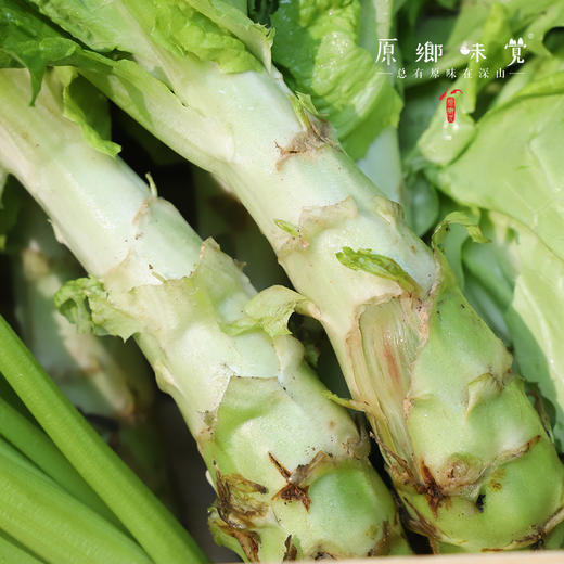 生态蔬菜组合（莴笋/带壳豌豆/带壳蚕豆/生态西芹/生态莲花白）（农场直发-顺丰包邮）|多种规格，来自成都郫都，生产者：原乡生态农场 商品图4
