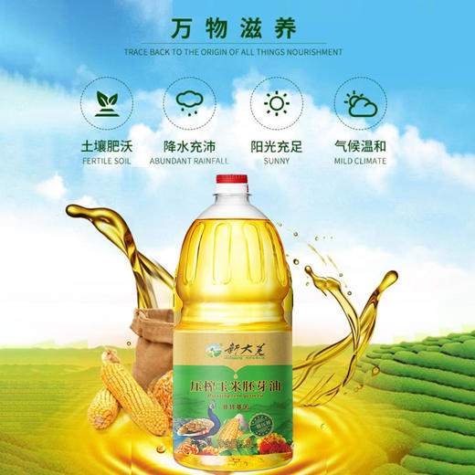 大荒印象一级压榨玉米油1.8L 商品图1
