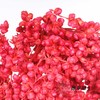 永生花 | 高梁红色 商品缩略图3