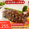 【新北方优选 头茬春参】鲜食海参 正宗大连辽刺参 单斤8头 商品缩略图0