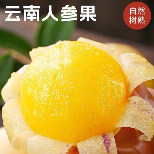 【福利❗️27.9/3斤装🔥云南石林人参果】石林产地直供❗️爆汁香甜，现摘现发锁鲜，果肉金黄细腻，自带淡雅果香，适配日常鲜食，口感清爽解腻，新鲜现摘应季水果树上熟清甜黄心大果L 商品图1