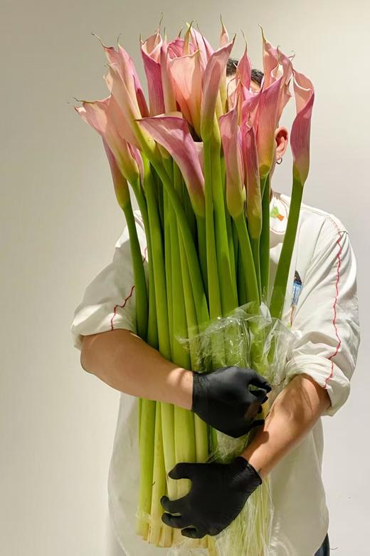 【四月宜养花】火烈鸟马蹄莲5支+香槟色洋桔梗7-10朵+紫色系洋桔梗或粉色系7-10朵+送小绣球1支/份（绣球容易脱水送的不售后） 商品图14