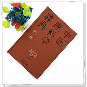 中医眼科学辞典 廖品正 主编 中国中医药出版社