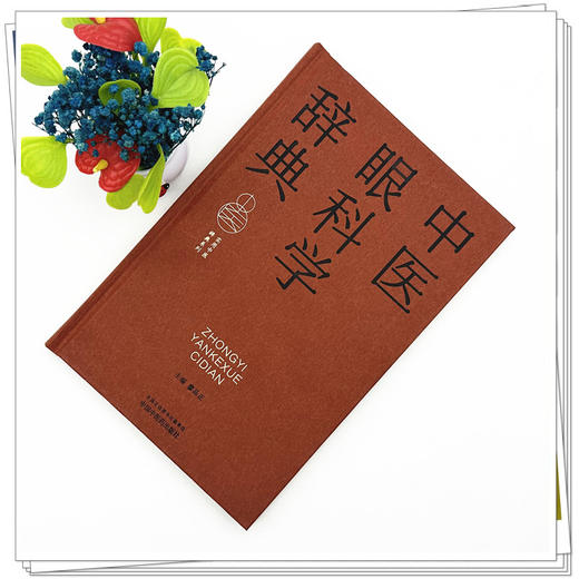 中医眼科学辞典 廖品正 主编 中国中医药出版社 商品图0