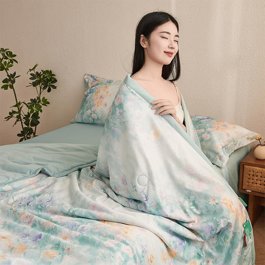 “带夏被！一套搞定整个床品”浪莎 艾草水洗凉感丝空调被4件套-梦江南 商品图1