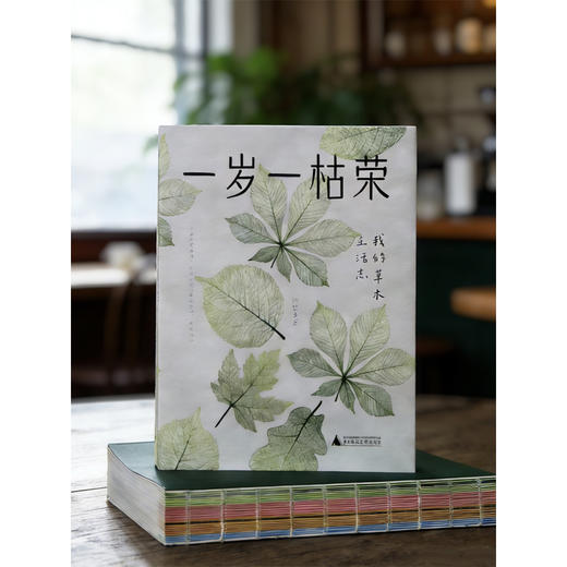 一岁一枯荣：我的草木生活志（附赠四季手账） 商品图4