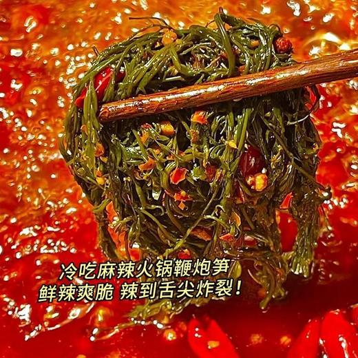 【好吃到跺脚❗️鲜辣爆汁鞭炮笋】鲜辣红油裹满脆嫩笋丝，笋丝脆嫩无渣，鲜辣入味够劲，口感爽脆爆汁，长寿菜曹氏下饭下酒菜鸭脖宿舍零食小吃L 商品图1