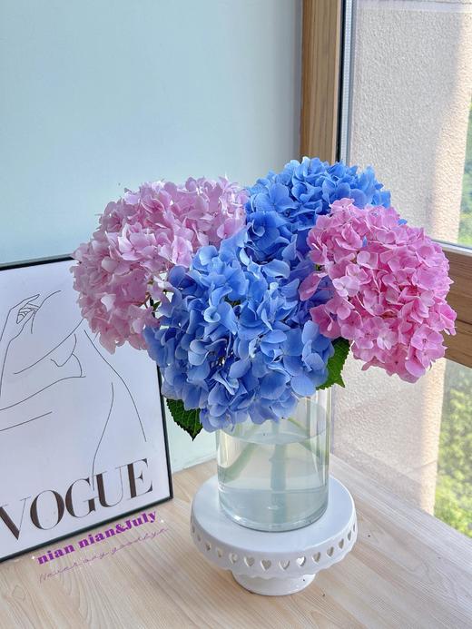 【四月宜养花】火烈鸟马蹄莲5支+香槟色洋桔梗7-10朵+紫色系洋桔梗或粉色系7-10朵+送小绣球1支/份（绣球容易脱水送的不售后） 商品图13