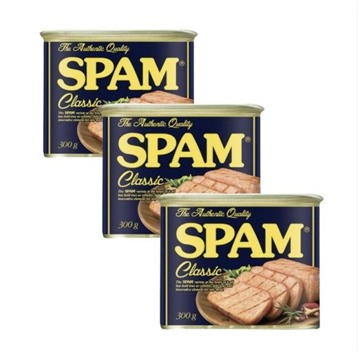 【묶음】백설 스팸클래식300g*3 商品图0