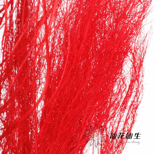 永生花材 | 龙须草红色 商品图3
