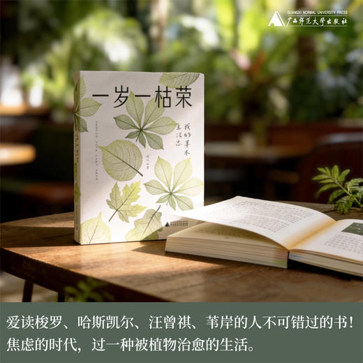 一岁一枯荣：我的草木生活志（附赠四季手账） 商品图0
