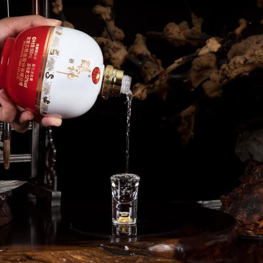 【买一送一】宜宾五粮液*酿神*红白坛 52度浓香型白酒 商品图3