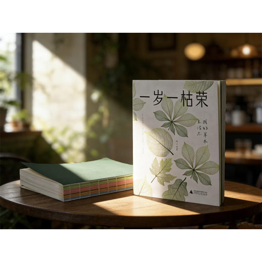 一岁一枯荣：我的草木生活志（附赠四季手账） 商品图6