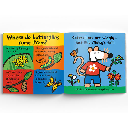 Maisy Loves...自然启蒙系列 商品图2