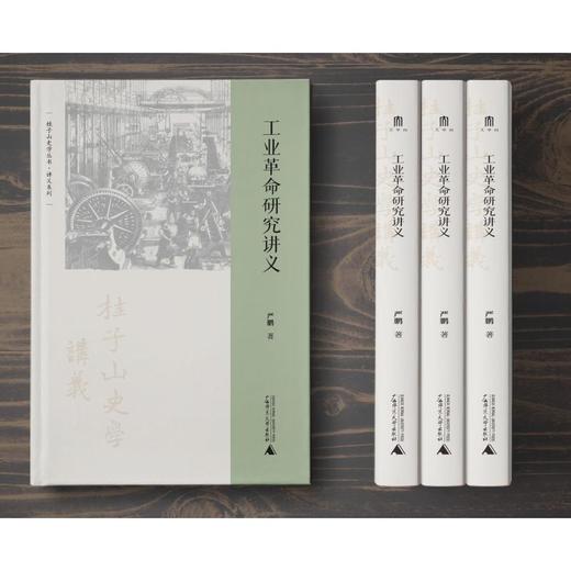 桂子山史学丛书·讲义系列 工业革命研究讲义 商品图1