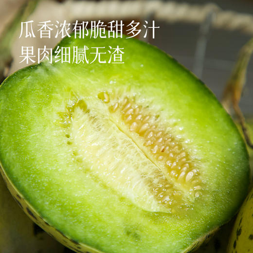 【会员日福利】【现摘现发 好吃的甜瓜】肉厚细腻 清甜无渣 瓜香浓郁 果肉越放越绵软~ 商品图1