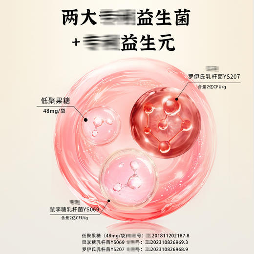 【五红看得见❗营养不缺席】五红粉汤枸杞红枣冲泡即食便携包装女生盒装营养红养粉冲饮代餐粉。ri 商品图2