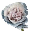 国产染色玫瑰 | 蓝色沙子 商品缩略图1