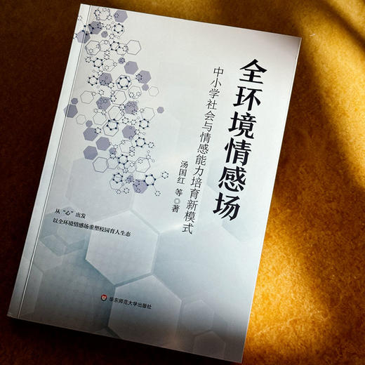全环境情感场：中小学社会与情感能力培育新模式 商品图2