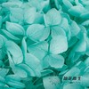 永生绣球 | 蒂芙尼蓝 商品缩略图2